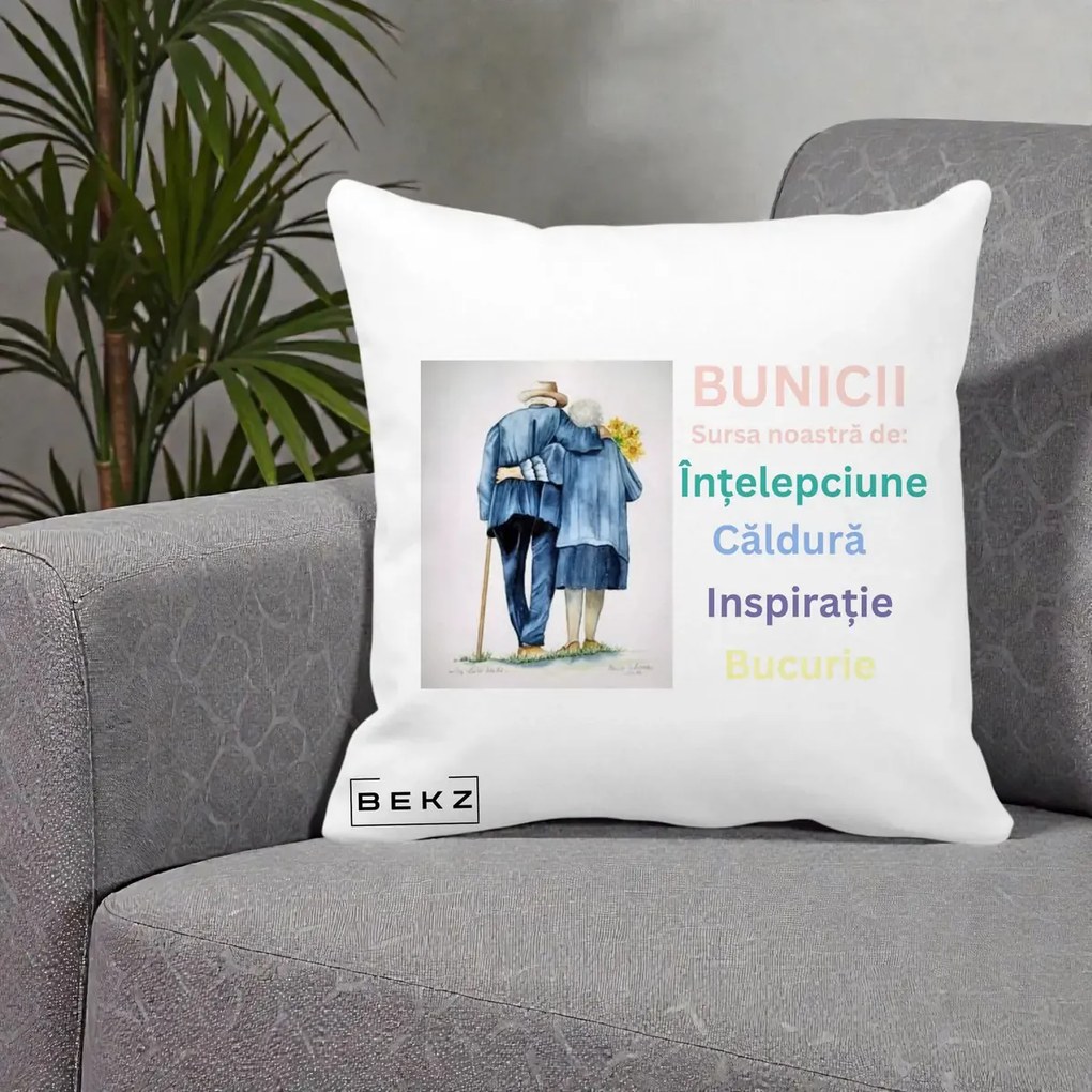 Cadou pentru Bunici - Perna Personalizata Bunicii Sursa Intelepciune Caldura Acuarela, 40x40 cm, Alba Mata, Husa Detasabila, Perna Inclusa, BEKZ®