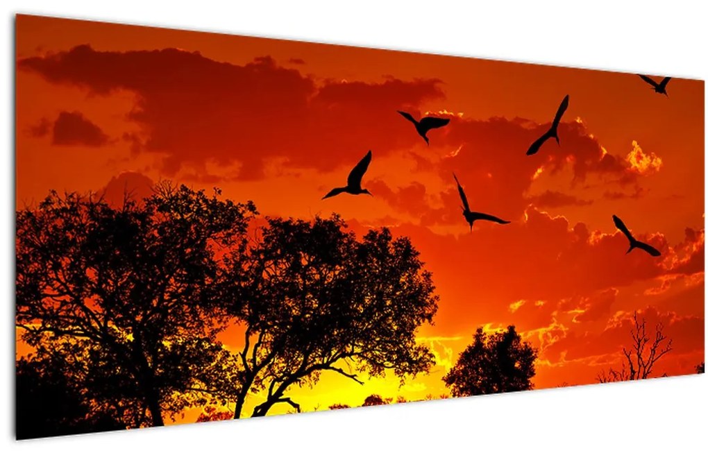 Tablou cu păsări în apus de soare (120x50 cm)