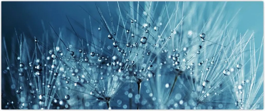 Tablou - Picături de rouă (120x50 cm)