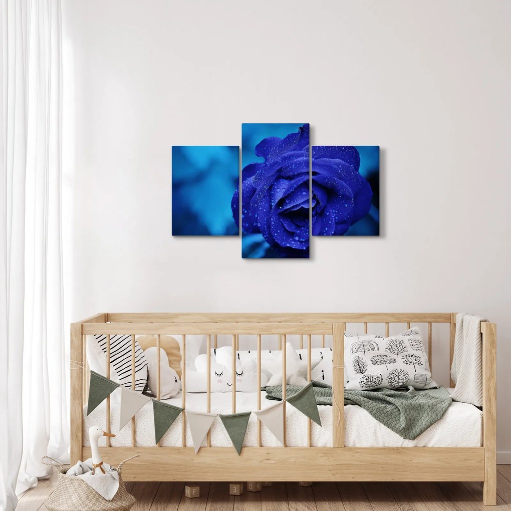 Tablou cu trandafir albastru (90x60 cm)