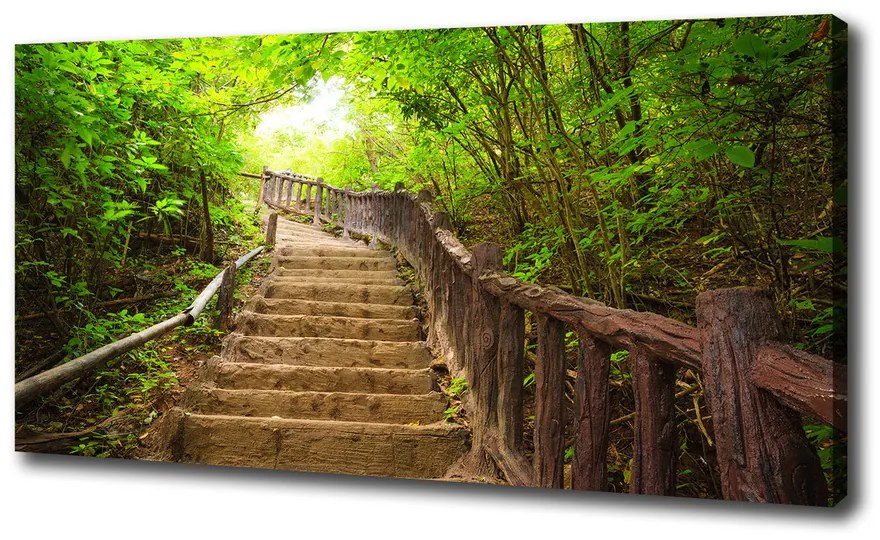 Print pe canvas Scari din pădure
