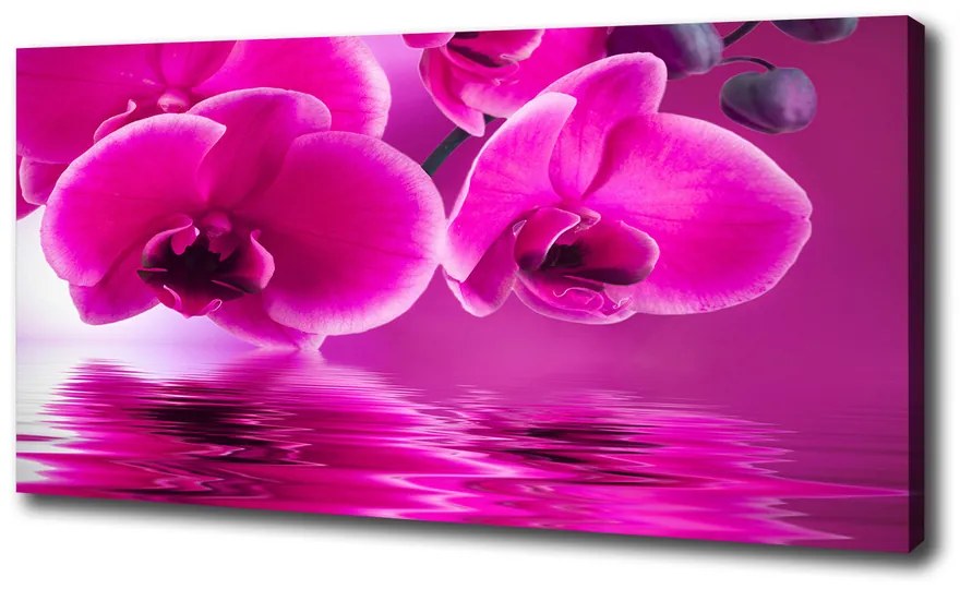 Tablou pe pânză canvas Orhidee