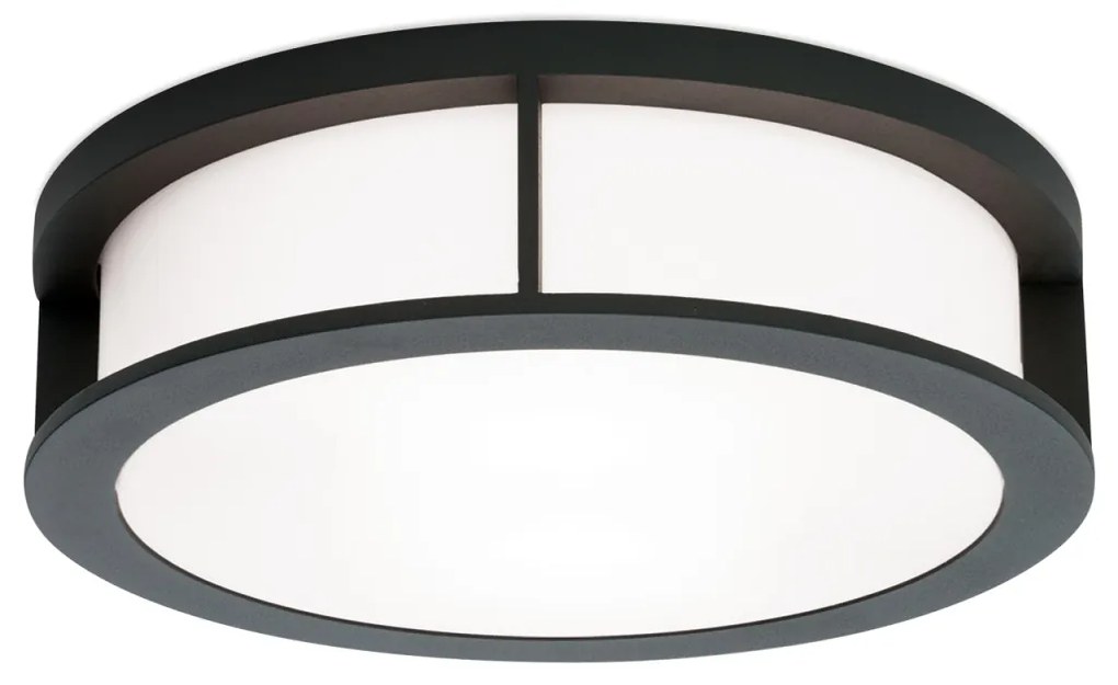 Plafoniera de exterior, protectie IP44, Henry antracit