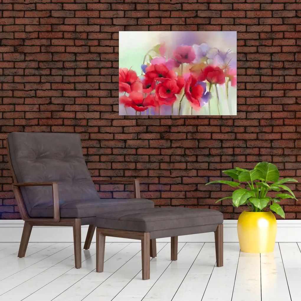 Tablou - Maci (70x50 cm)