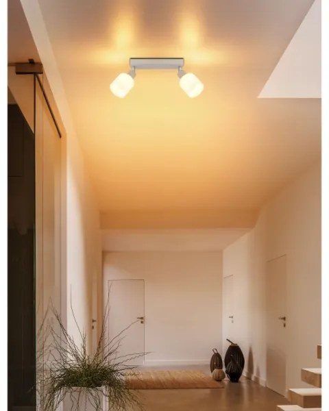 Globo 54114-2 - Spot TRENT 2xE14/25W/230V