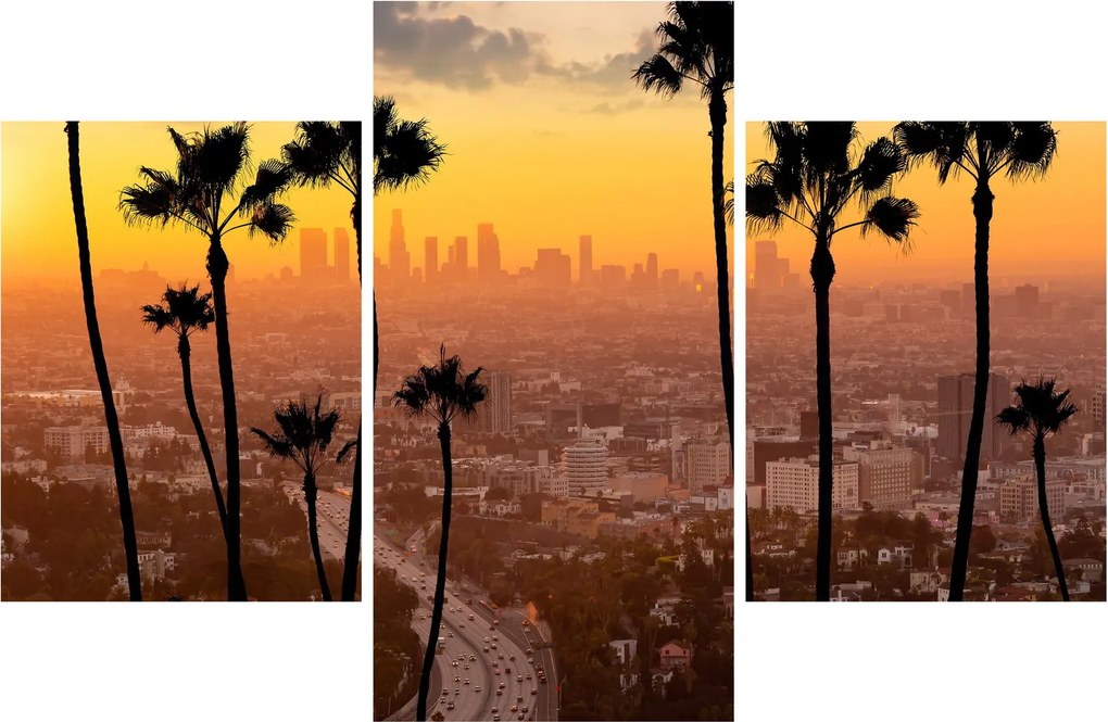 Tablou - Panorama din Los Angeles (90x60 cm)