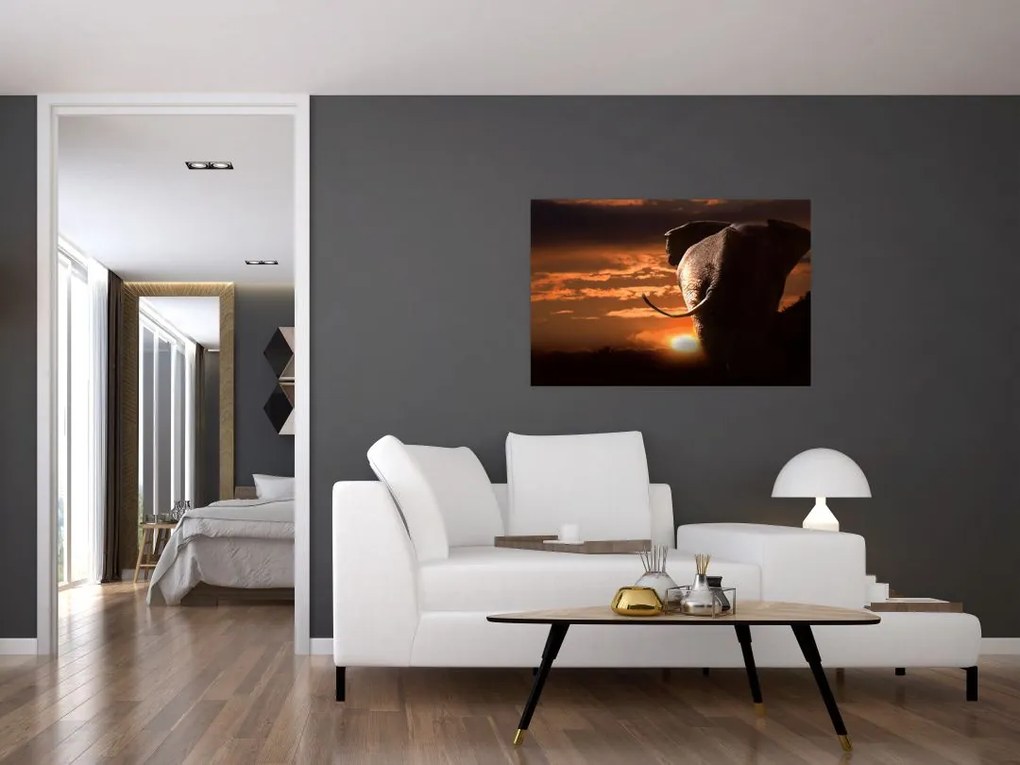 Tablou cu elefant (90x60 cm)