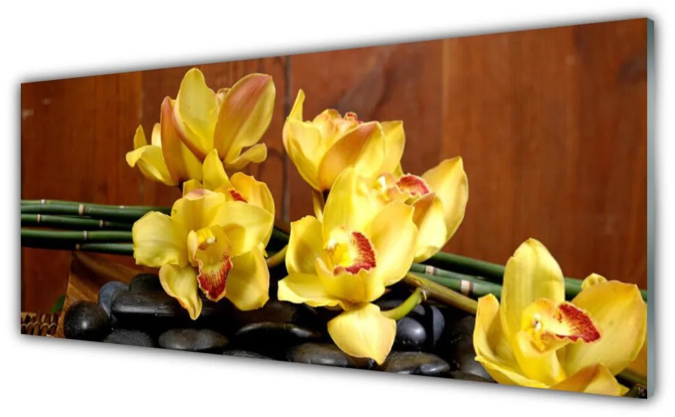 Tablou pe sticla Pietrele florale flori galben negru