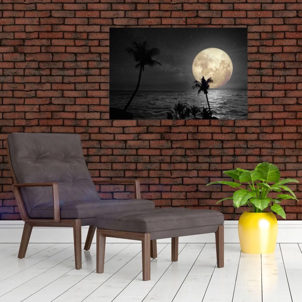 Tablou - Plaja cu lună plină, nuanțe gri (90x60 cm)