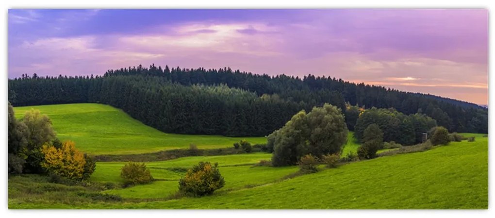Tablou cu lunca (120x50 cm)