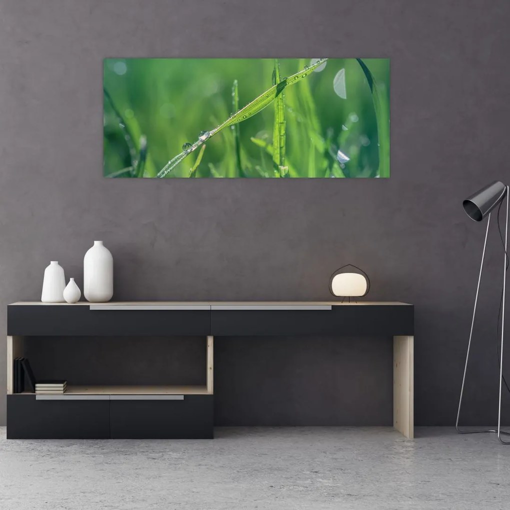 Tablou cu picături de rouă (120x50 cm)