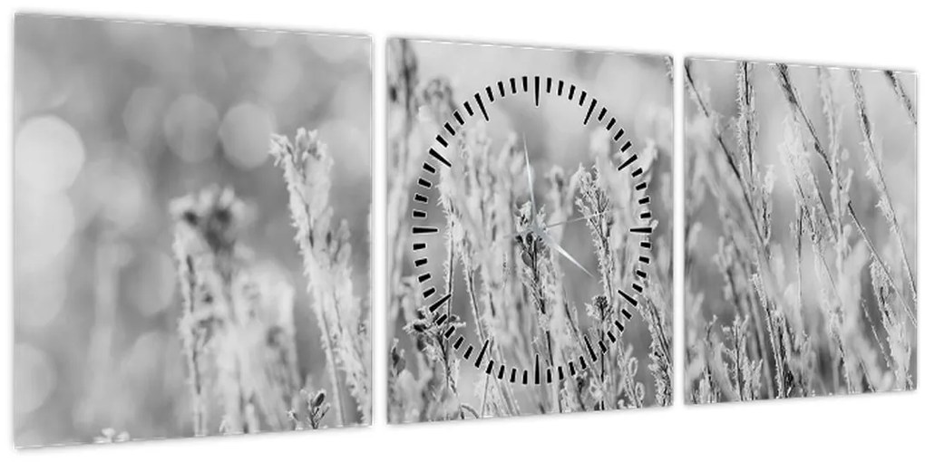 Tablou - Iarna rece (cu ceas) (90x30 cm)