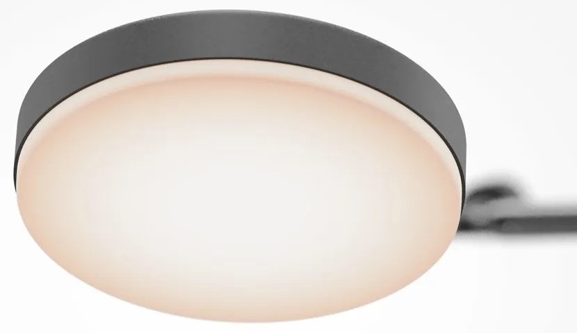 Plafoniera cu 2 spoturi LED directionabile Fad