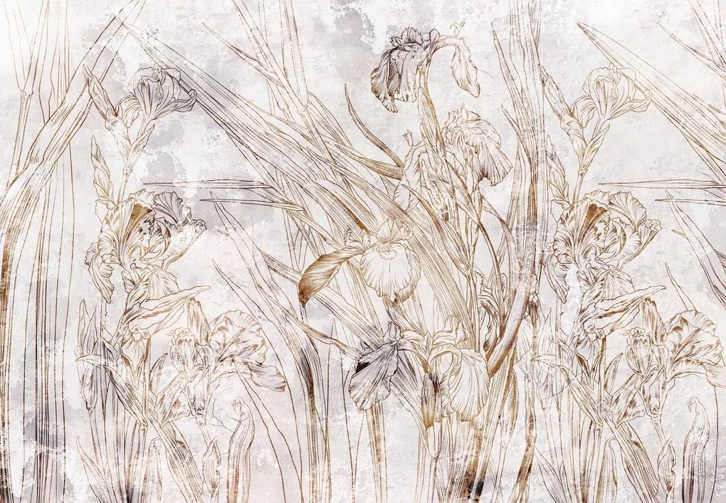 Fototapet - Iriși (147x102 cm)