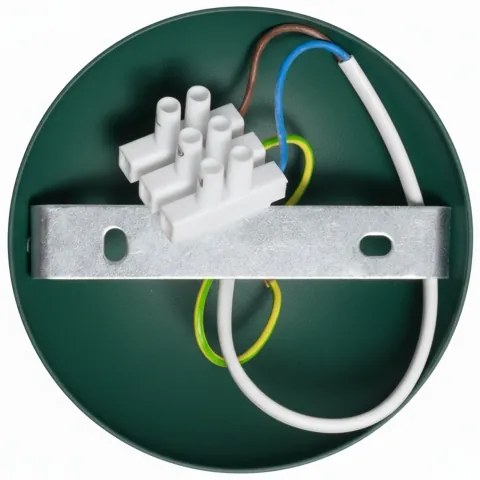 Lustră aplicată Brilagi FLAMENGO 1xE27/60W/230V verde