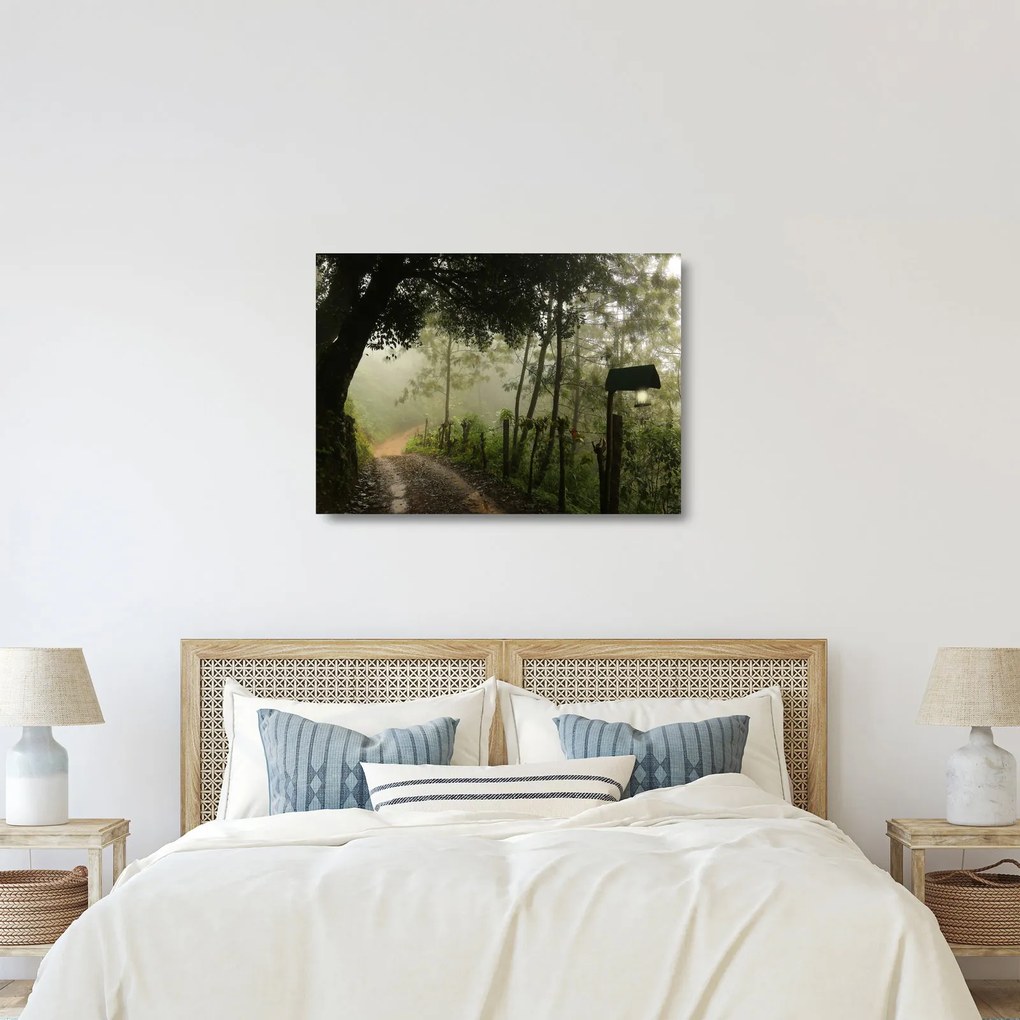 Tablou pe sticlă cu ceața de dimineața (70x50 cm)