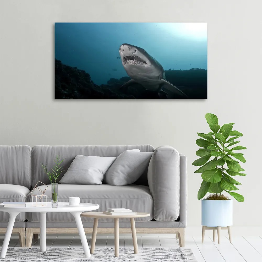 Print pe canvas Rechin mare