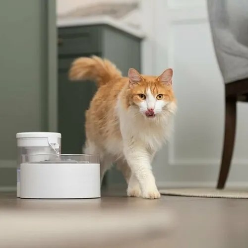 PetSafe® Outlast™ Fântână 1,7 litri
