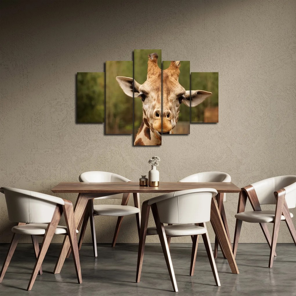 Tablou girafe (150x105 cm)