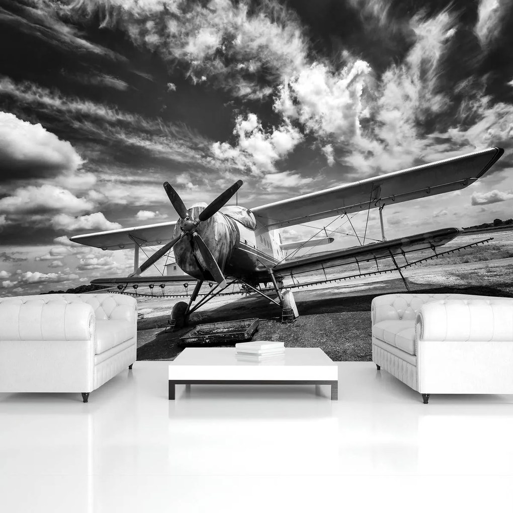 Fototapet - Avion (254x184 cm)