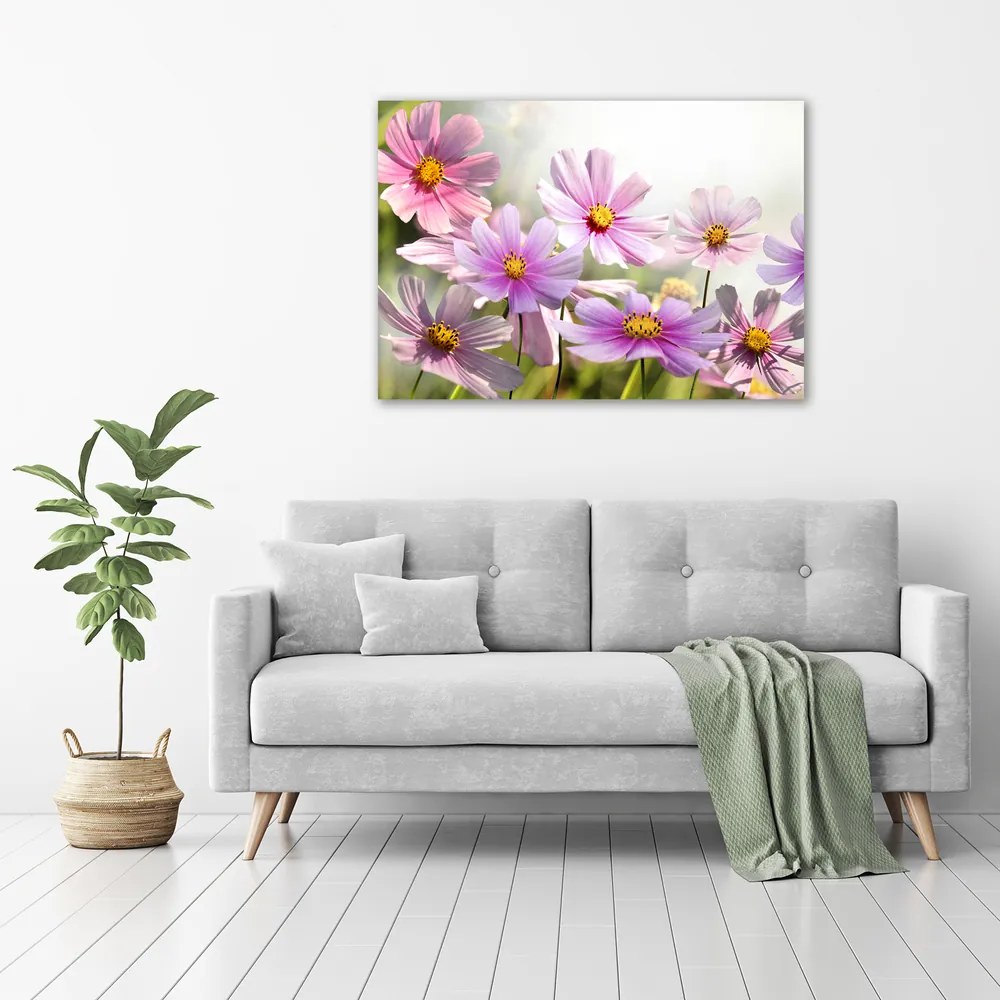 Print pe canvas Flori în lunca