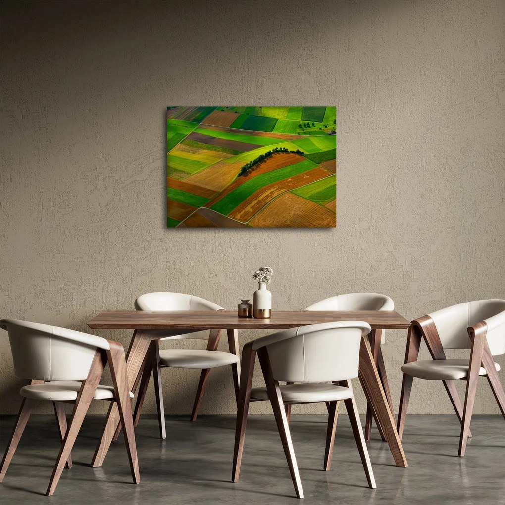 Tablou - Lan, luncile (70x50 cm)