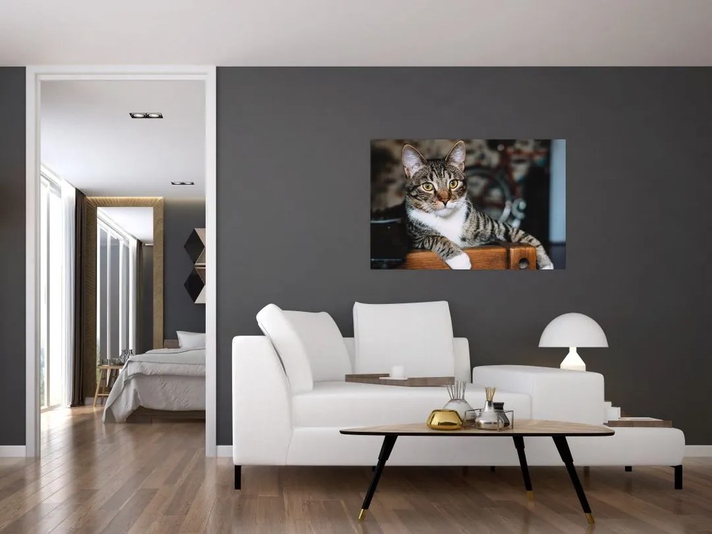 Tablou cu pisica (90x60 cm)