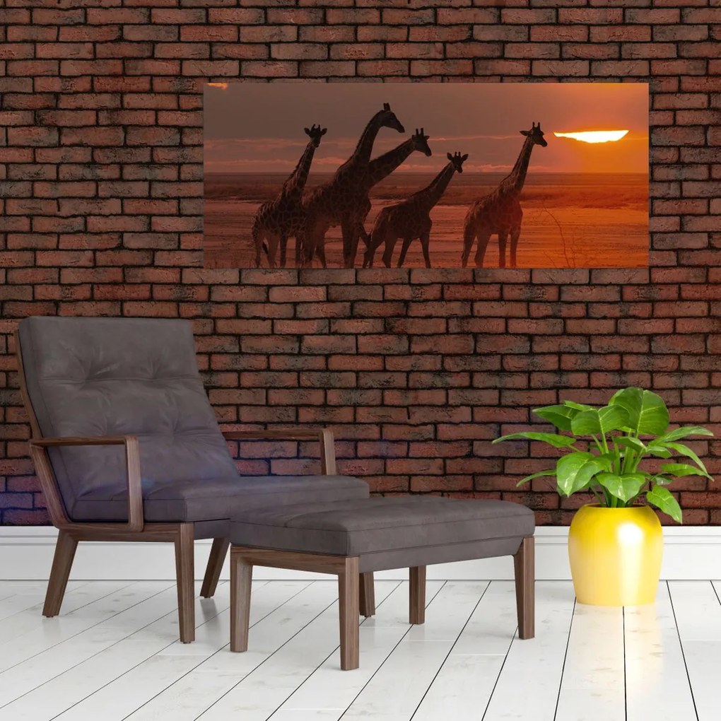 Tablou - Girafe în savana africană (120x50 cm)