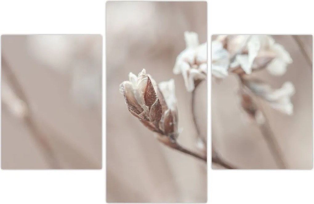 Tablou - Detaliu ramură (90x60 cm)