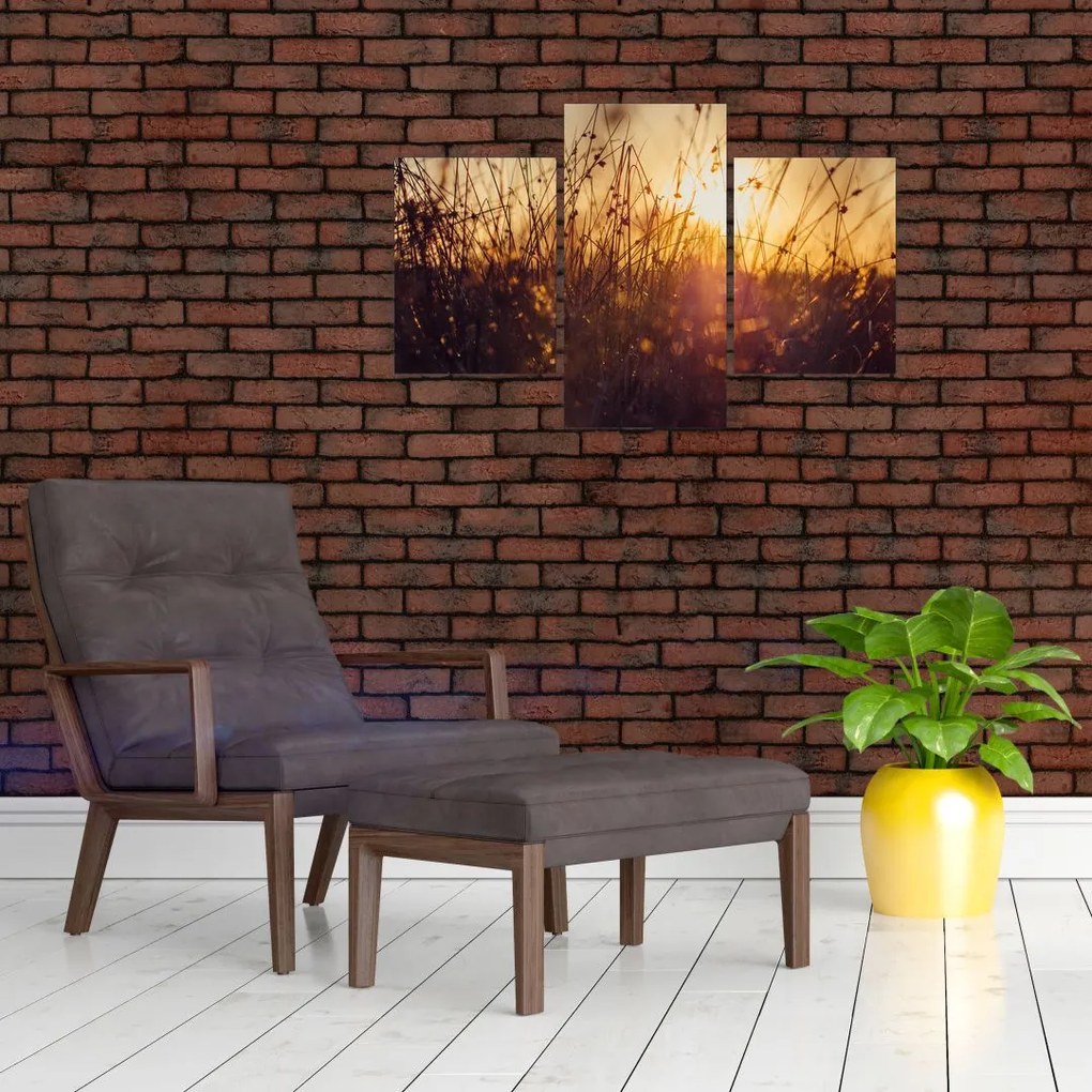 Tablou - Câmp la apus de soare (90x60 cm)