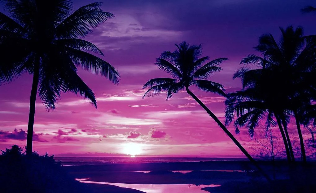 Fototapet - Plaja tropicală (152,5x104 cm)