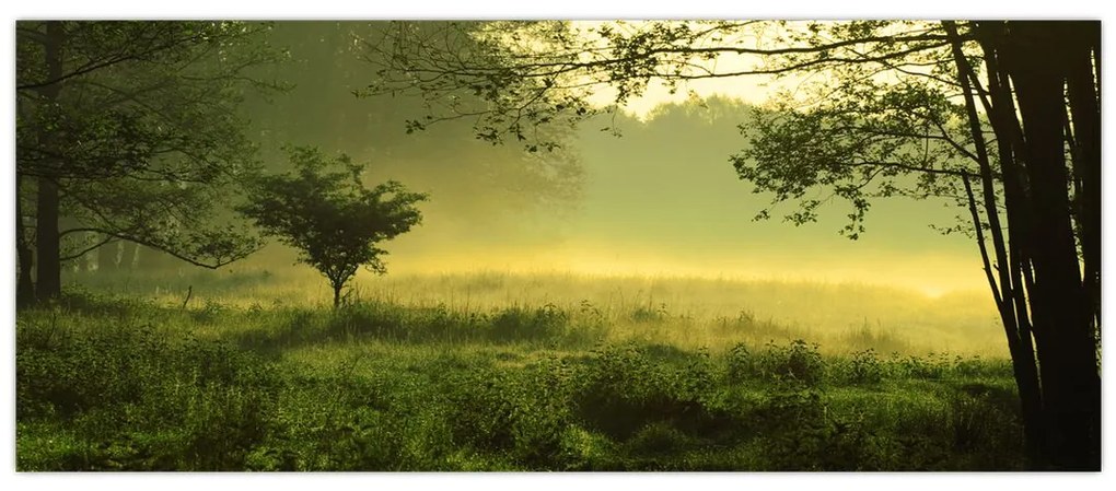 Tablou - Pădurea trezită (120x50 cm)