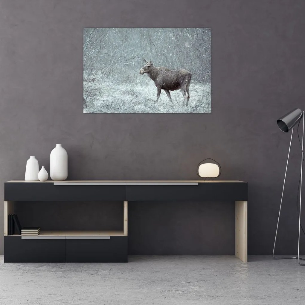 Tablou - Elan într-o pădure înzăpezită (90x60 cm)