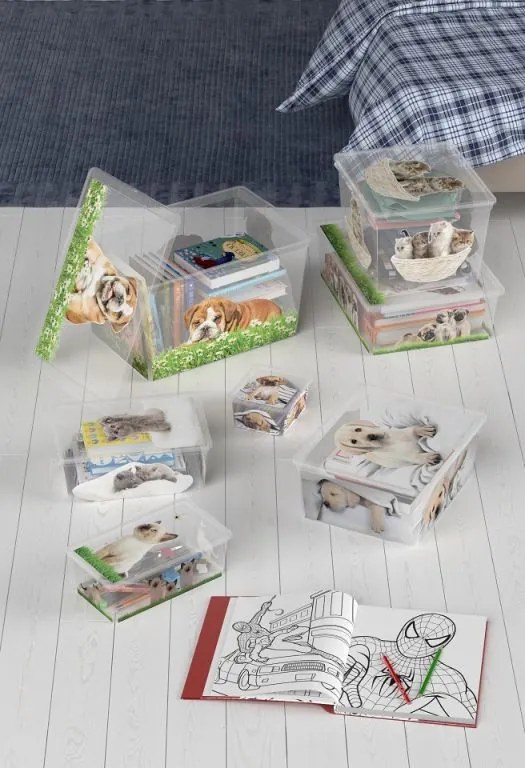 Cutie din plastic KIS C Puppy and Kitten - XS