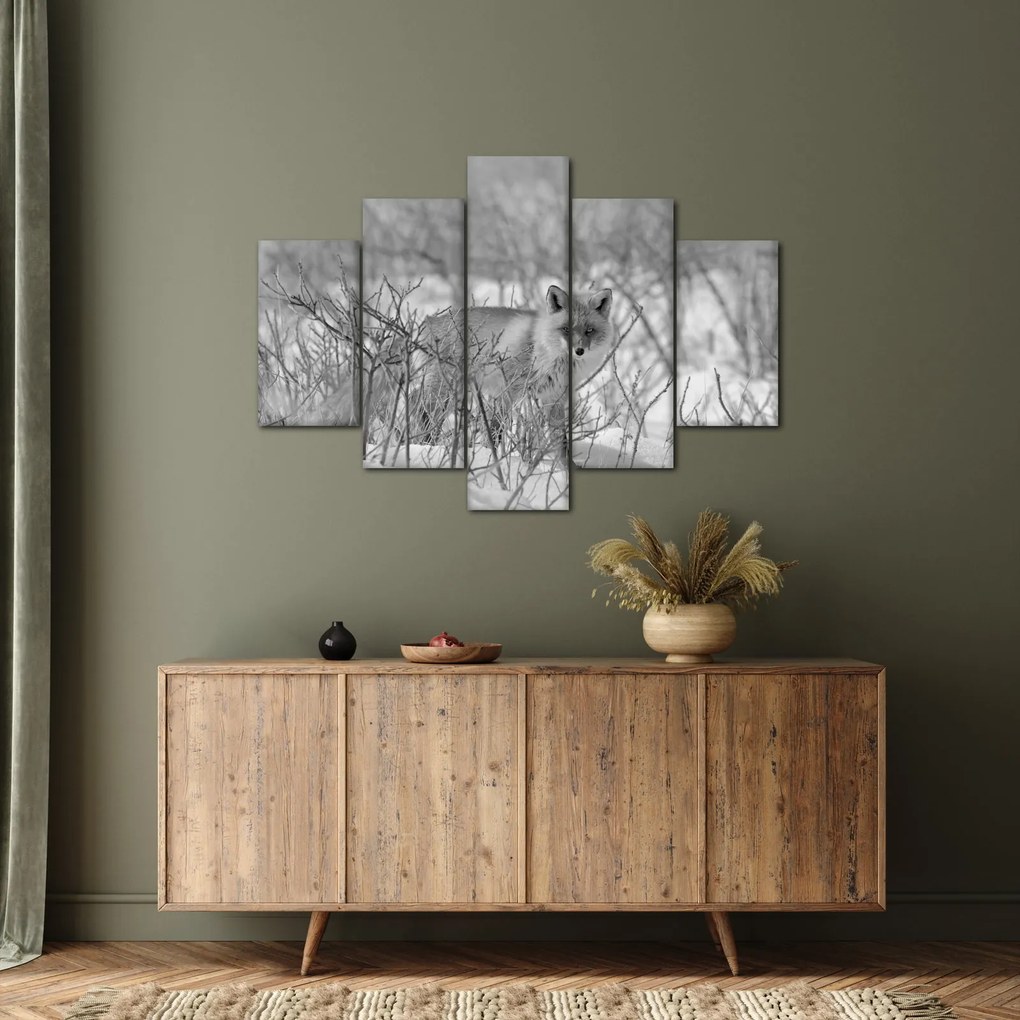 Tablou - Vulpe,alb-negru (150x105 cm)