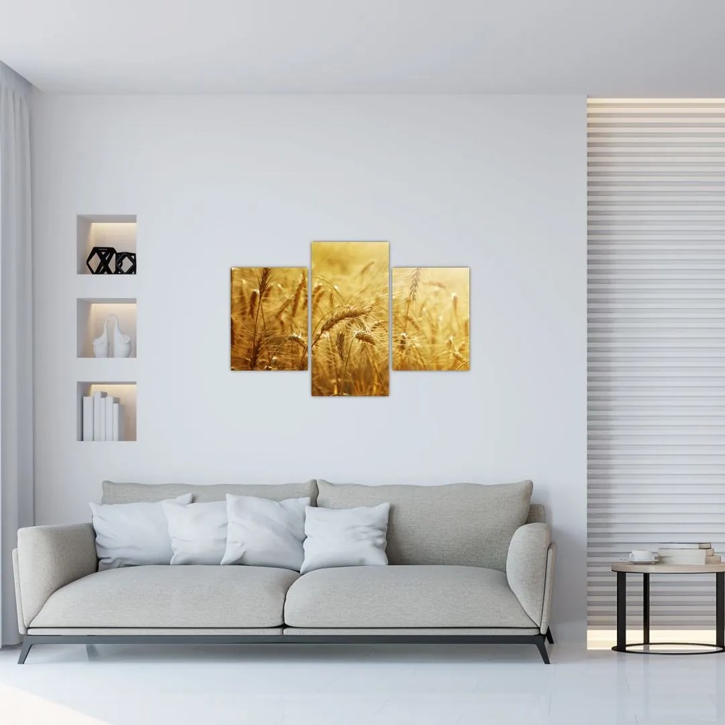 Tablou - Spice de cereale (90x60 cm)