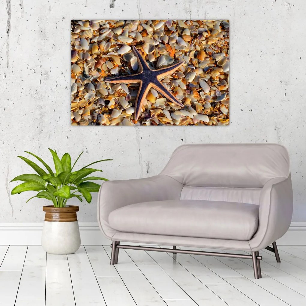Tablou cu stea de mare (90x60 cm)