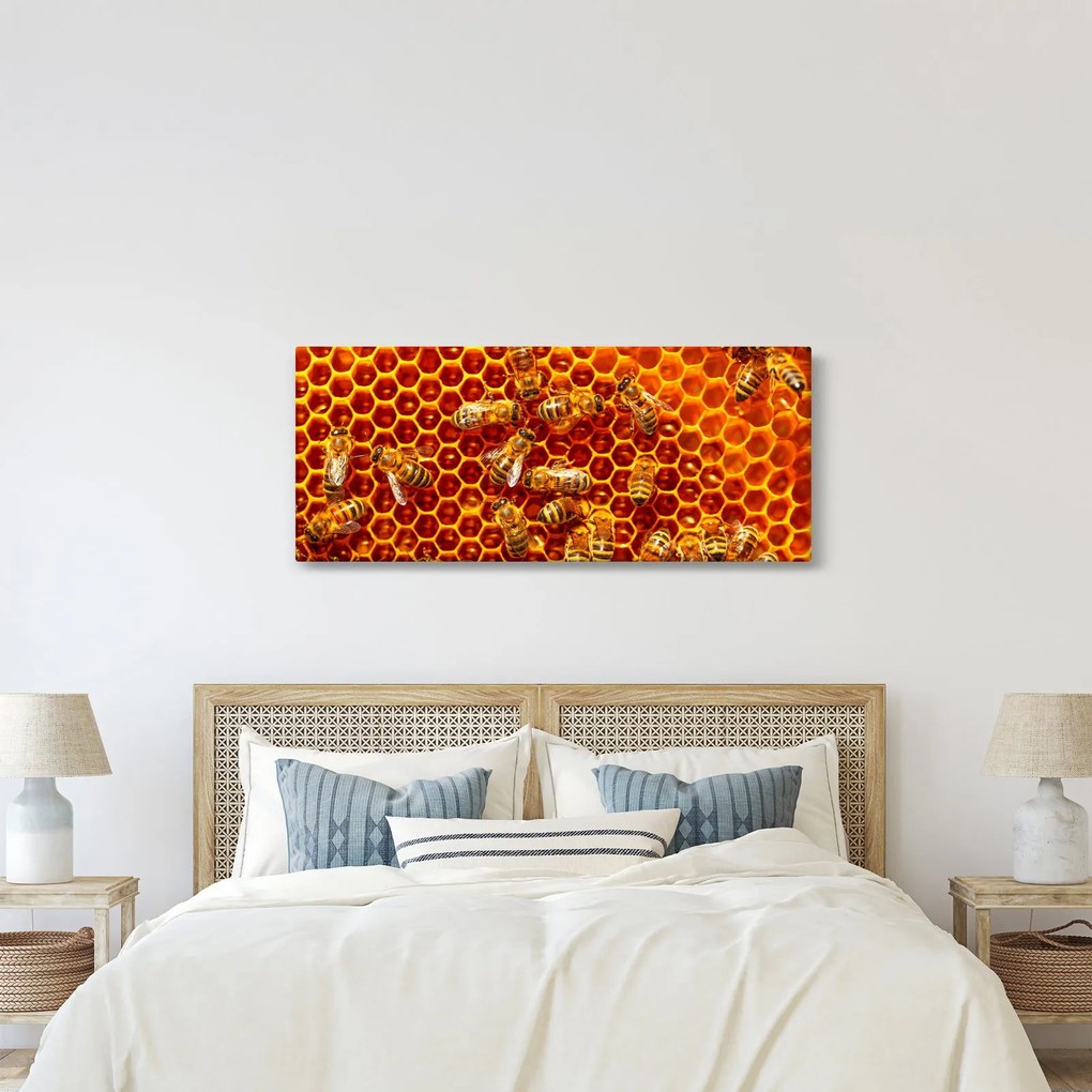 Tablou - Fagure de miere (120x50 cm)