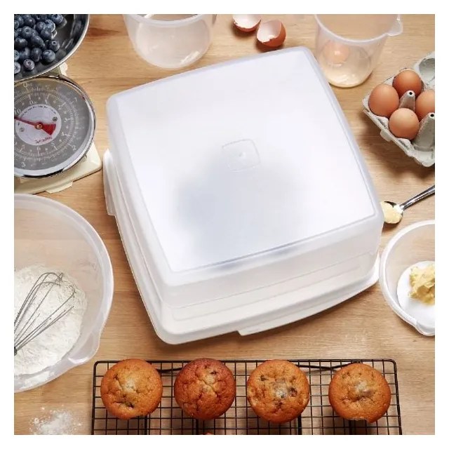 Recipient pentru prăjituri cu capac Addis Seal Tight Cake Store, 14 l