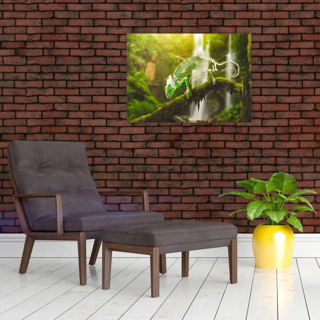 Tablou - cameleon (70x50 cm)