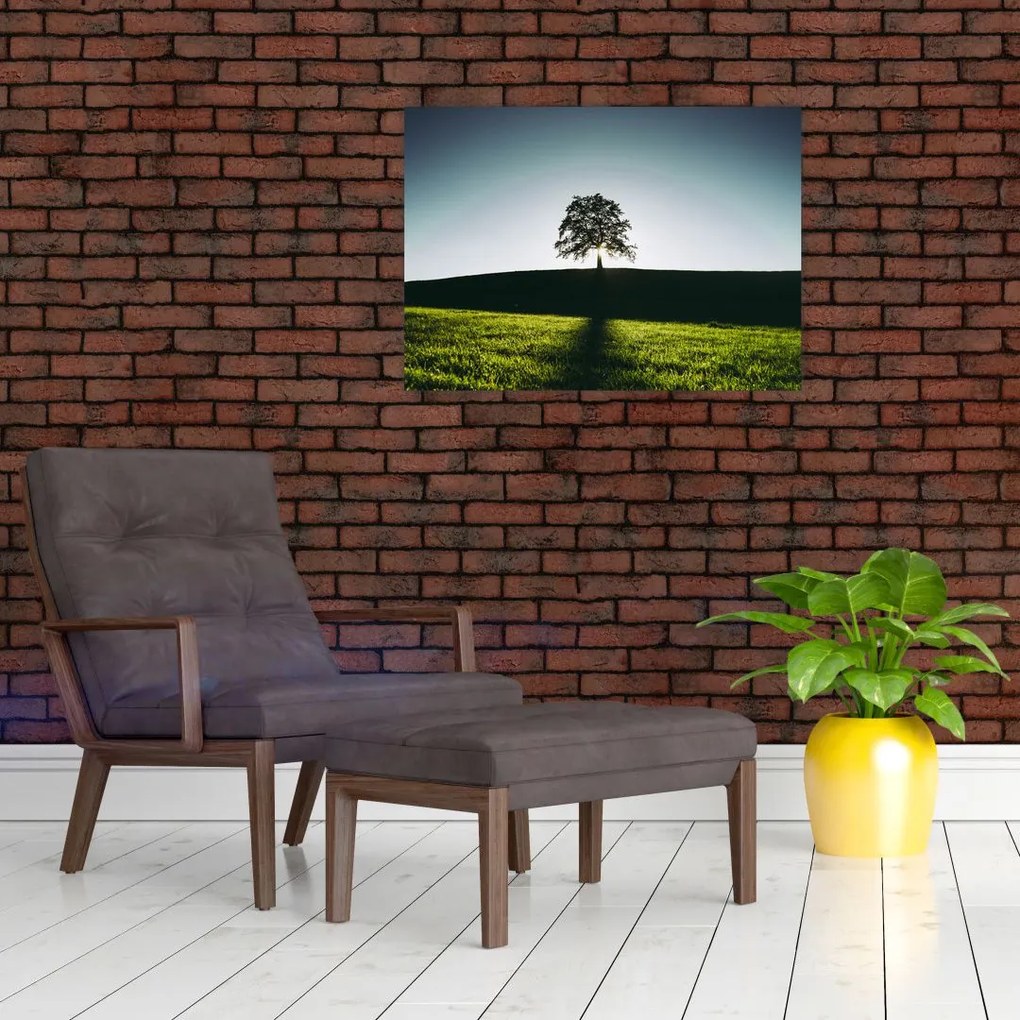 Tablou cu natura - copac (70x50 cm)