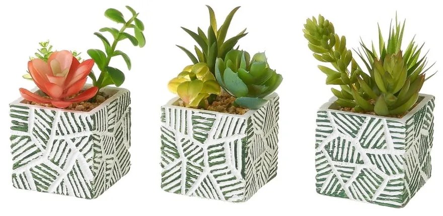 Plante artificiale 3 buc. Cactus – Casa Selección
