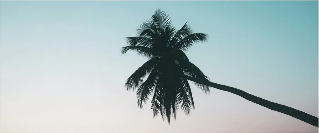 Tablou - Palmier la Bali (120x50 cm)