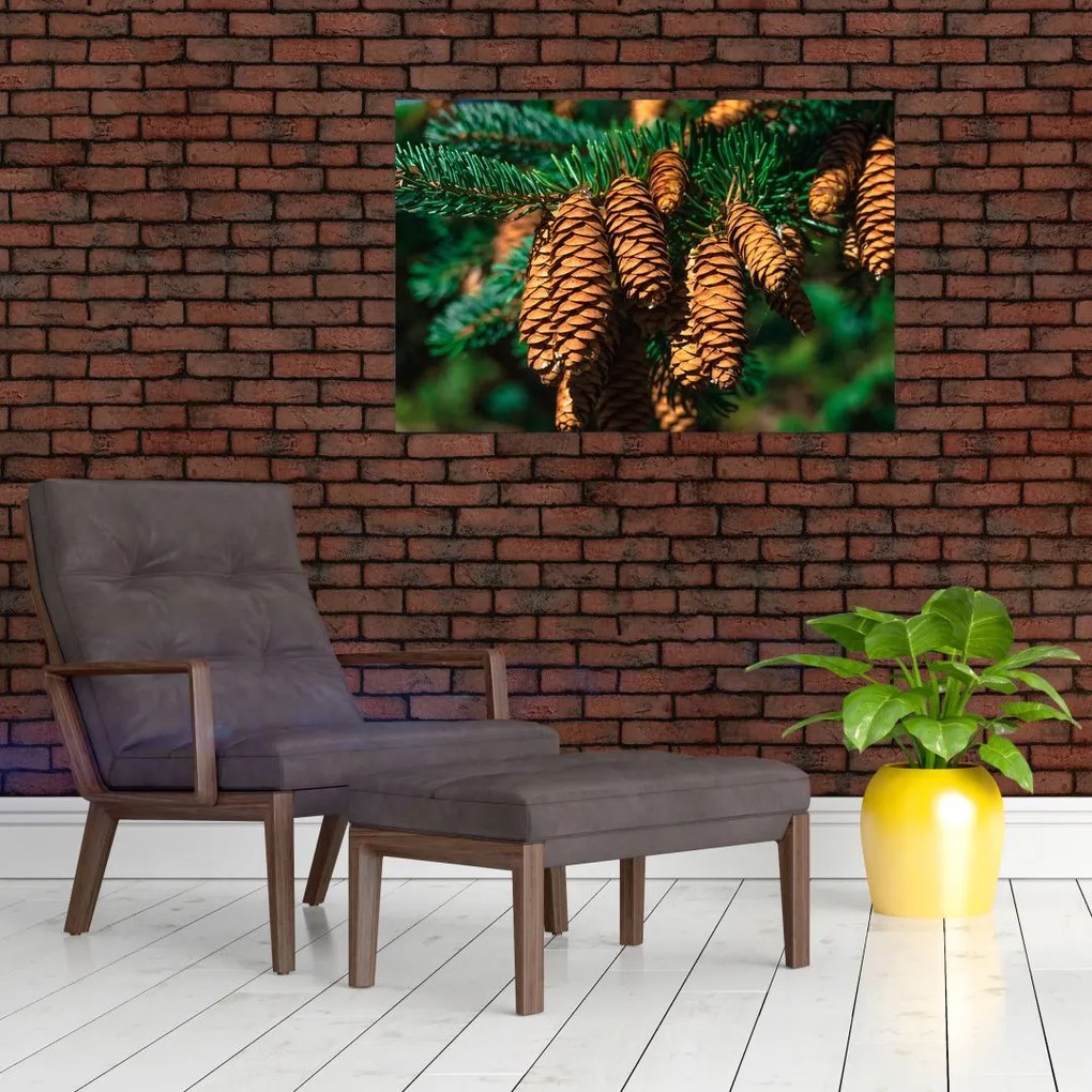 Tablou cu con de brad (90x60 cm)