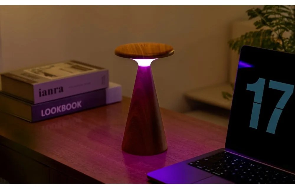 Veioză în culoare naturală închisă LED cu abajur din lemn (înălțime 21 cm) Sylva – Gingko