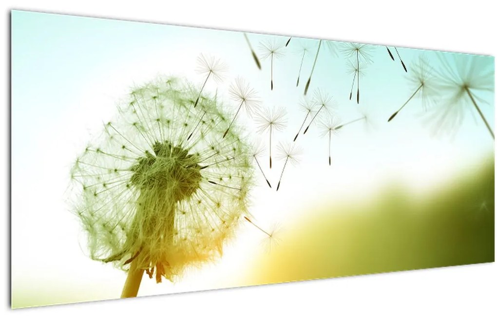 Tablou - Păpădia în vânt (120x50 cm)