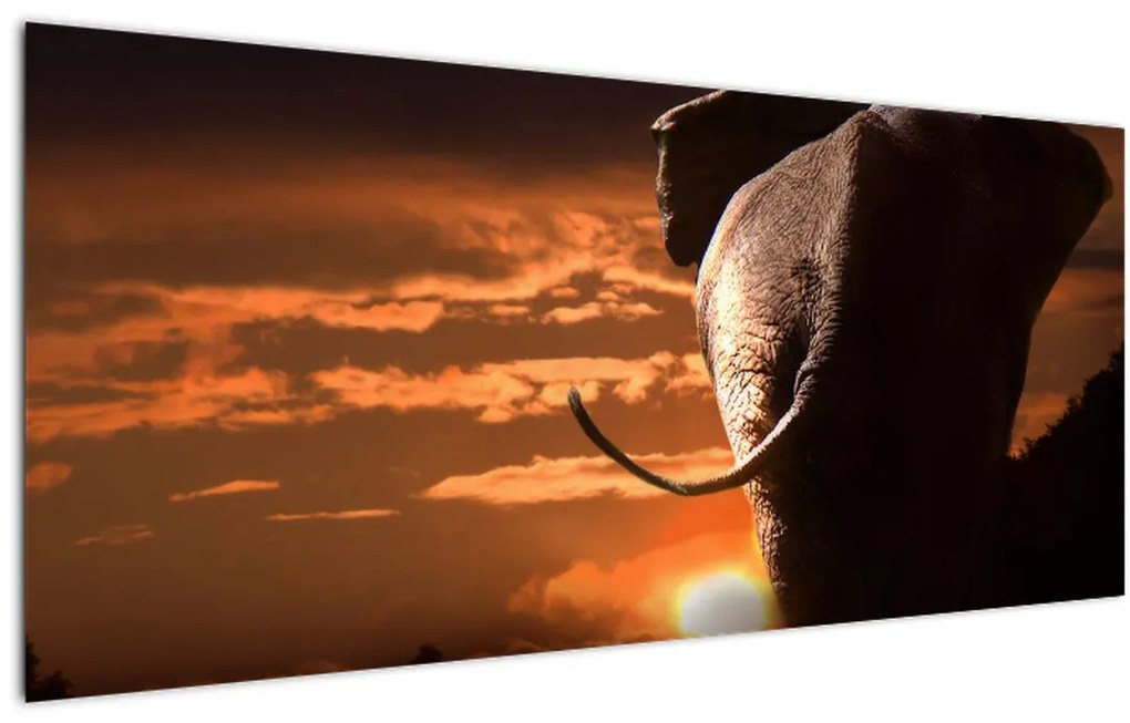 Tablou cu elefant (120x50 cm)