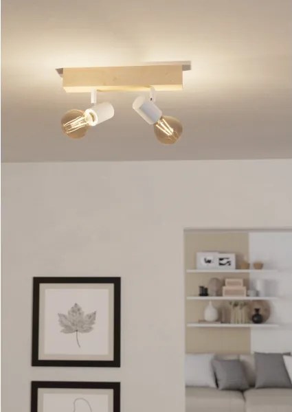 Eglo 33169 - Lampă spot TOWNSHEND 3 2xE27/60W/230V