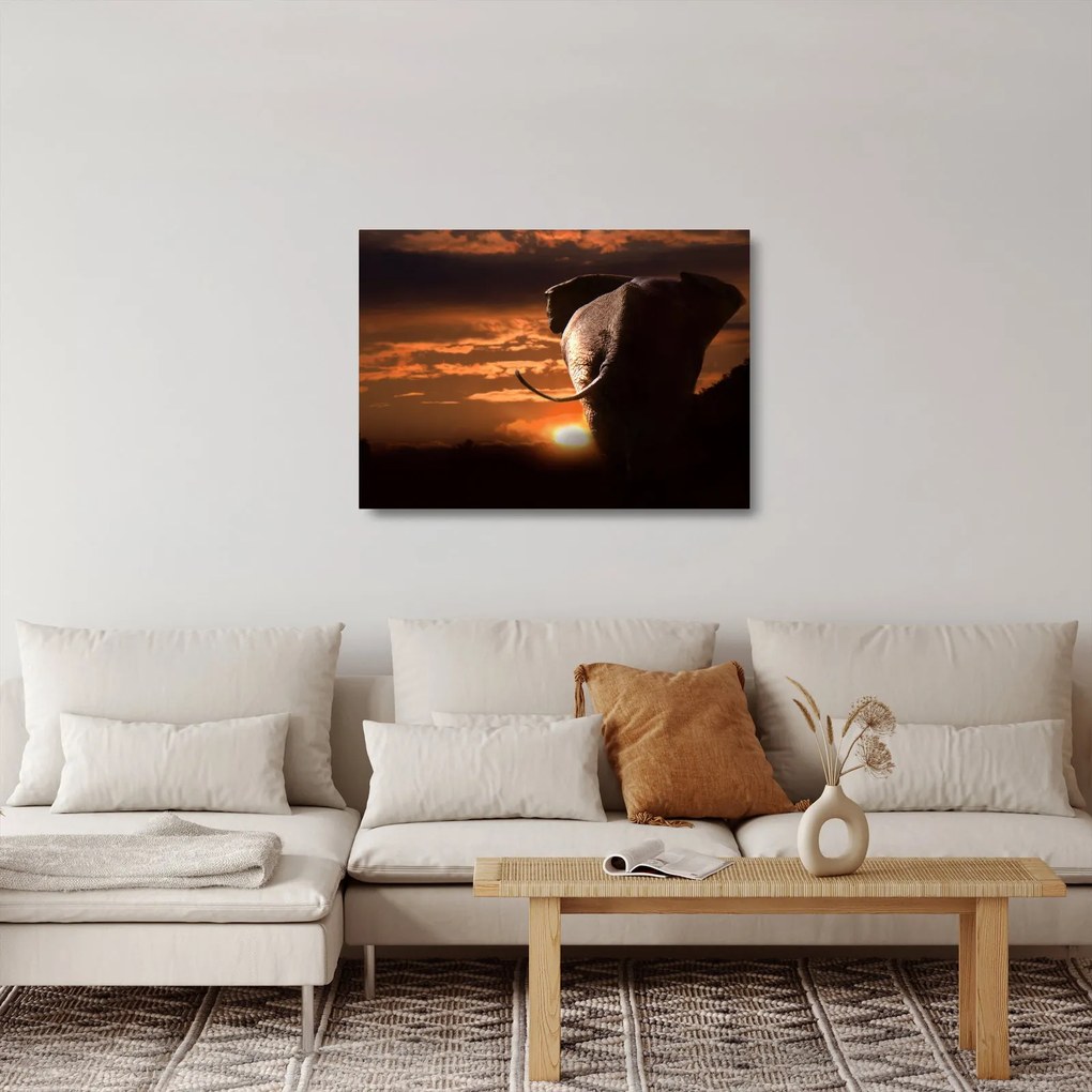 Tablou pe sticlă cu elefant (70x50 cm)
