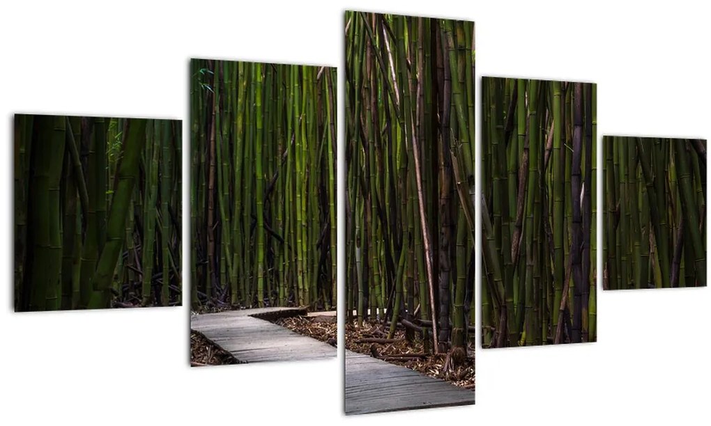 Tablou - Între bambus (125x70 cm), în 40 de alte dimensiuni noi